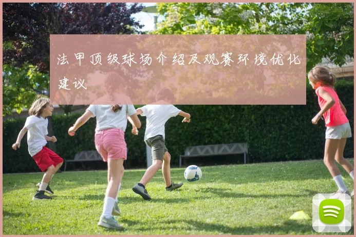 法甲顶级球场介绍及观赛环境优化建议