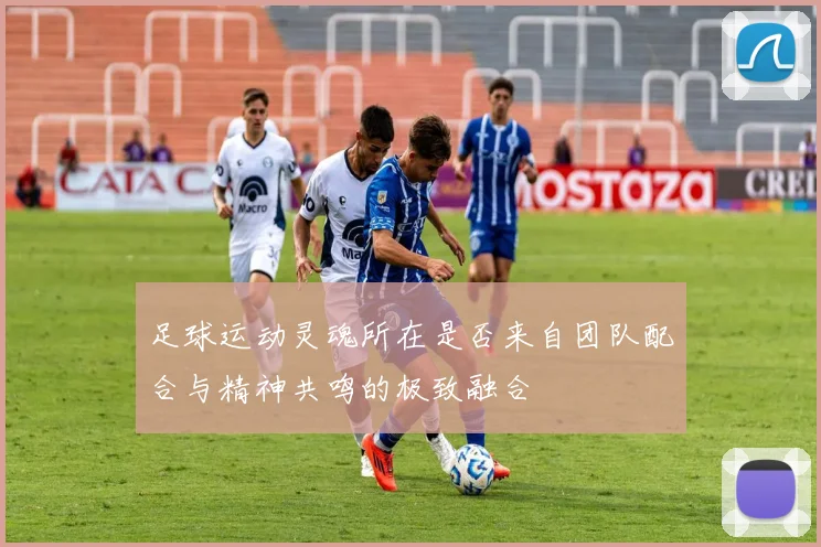 足球运动灵魂所在是否来自团队配合与精神共鸣的极致融合